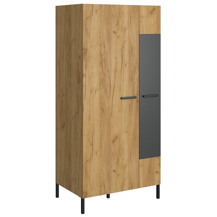 Δίφυλλη Ντουλάπα Santes Χρυσό Δρυς-Γραφίτης 90x60x197.5cm TO-SANTES2D