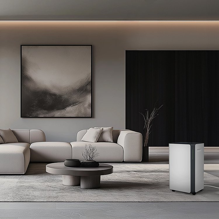 Life Smart CONCEPT20 221-0417 Αφυγραντήρας Wi-Fi Ιονιστής 20L