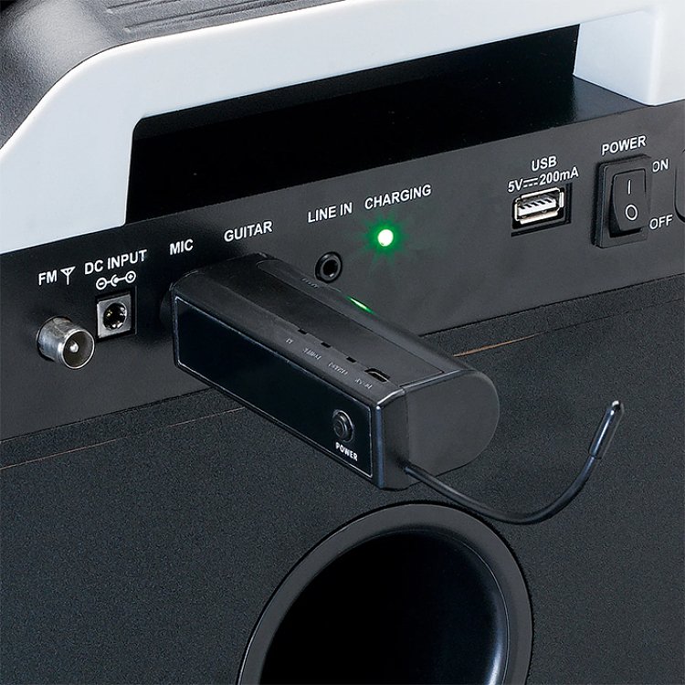 LENCO MCW-020 Σετ 2 Ασύρματων Μικροφώνων 6.3mm 246-0017