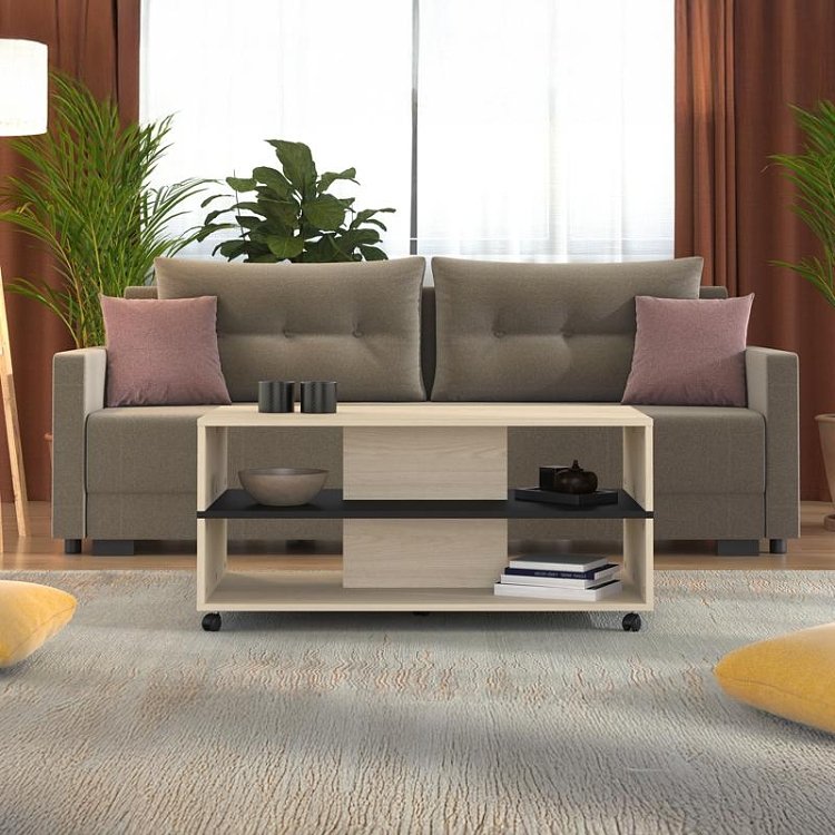 ΤΡΑΠΕΖΑΚΙ ΣΑΛΟΝΙΟΥ SAVIO LIGHT PORT OAK/BLACK OAK 101x55x48εκ 11014737