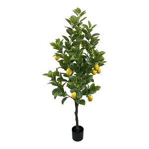 Διακοσμητικό φυτό Lemon tree σε γλάστρα Inart πράσινο pp Υ150εκ 316-000033
