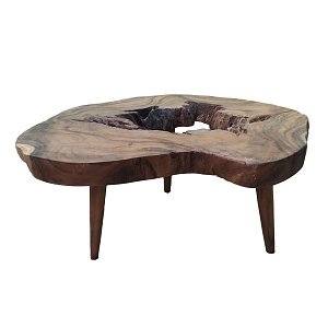 Τραπέζι Σαλονιού Nature Φ100x45cm O-RAS27