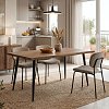 Τραπέζι Neve pakoworld MDF καρυδί-πόδι μεταλλικό μαύρο 140x80x75εκ 101-000025