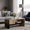 Τραπέζι σαλονιού Naya pakoworld sonoma-ανθρακί 93x46x43εκ 123-000159