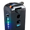 LENCO MCW-011 Ασύρματο Μικρόφωνο 6.3mm 246-0010