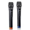 LENCO MCW-020 Σετ 2 Ασύρματων Μικροφώνων 6.3mm 246-0017