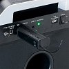 LENCO MCW-020 Σετ 2 Ασύρματων Μικροφώνων 6.3mm 246-0017