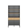 Ραφιέρα Beril 2D2S Ανθρακί-Χρυσό Δρυς 90x42x170cm TO-BERIL2D2S