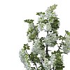 Διακοσμητικό φυτό Bean flowers σε γλάστρα Inart λευκό pp Υ125εκ 316-000025