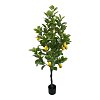Διακοσμητικό φυτό Lemon tree σε γλάστρα Inart πράσινο pp Υ150εκ 316-000033