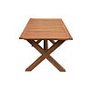 Τραπέζι Κήπου Teak 180x90x75 5540 G 200-20-022