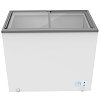 CROWN CHF210 ICE Καταψύκτης Οριζόντιος Λευκός 209lt