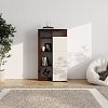 ΒΙΤΡΙΝΑ ARGYLL 1K1V OP 138 CASHMERE ΜΕ DARK TAILOR OAK ΧΡΩΜΑ 77x35x138εκ 11015799