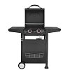 THERMOGATZ GS Grill Lite 2 Barbeque Υγραερίου 03.313.200