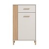 ΕΠΙΠΛΟ ΧΩΛ BELFORT 1K1F ARTISAN OAK-CASHMERE 60x40x103εκ fxtr 11013557