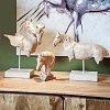 ΕΠΙΤΡΑΠΕΖΙΟ ΔΙΑΚΟΣΜΗΤΙΚΟ Fylliana Horse ΜΠΕΖ-ΚΑΦΕ ΧΡΩΜΑ 35x10x30εκ 276-223-007