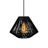 ΜΟΝΟΦΩΤΟ Fylliana Cordon 4 ΜΑΥΡΟ ΧΡΩΜΑ 35x30εκ E27 835-123-239