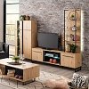 ΡΑΦΙΕΡΑ SARDINIA NP 500 ARTISAN OAK / ΜΑΥΡΟ 50x29.5x137.5εκ 11008231