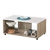 ΤΡΑΠΕΖΑΚΙ ΣΑΛΟΝΙΟΥ BERT GREY OAK-ΛΕΥΚΗ ΛΑΚΑ 101x60x45εκ 11008598