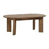 ΤΡΑΠΕΖΑΚΙ ΣΑΛΟΝΙΟΥ Fylliana Bhopal GOLDEN BROWN ΧΡΩΜΑ 120x60x46εκ 938-223-004