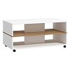 ΤΡΑΠΕΖΑΚΙ ΣΑΛΟΝΙΟΥ SAVIO ΛΕΥΚΟ-ARTISAN-ΛΕΥΚΟ HIGH GLOSS 101x55x48εκ 11013078