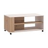 ΤΡΑΠΕΖΙ ΣΑΛΟΝΙΟΥ BELFORT CASHMERE-ARTISAN OAK 101x47x55εκ o.r.s 11013552